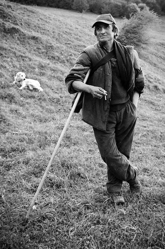 stapane-stapane-mai-cheama-sun-cane