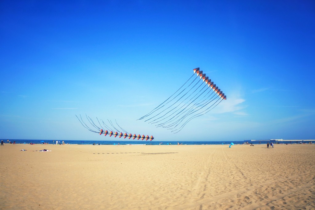 Kites Valencia